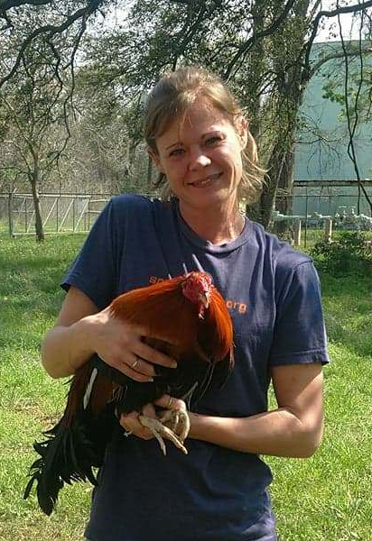 These roosters finally got some fresh air!