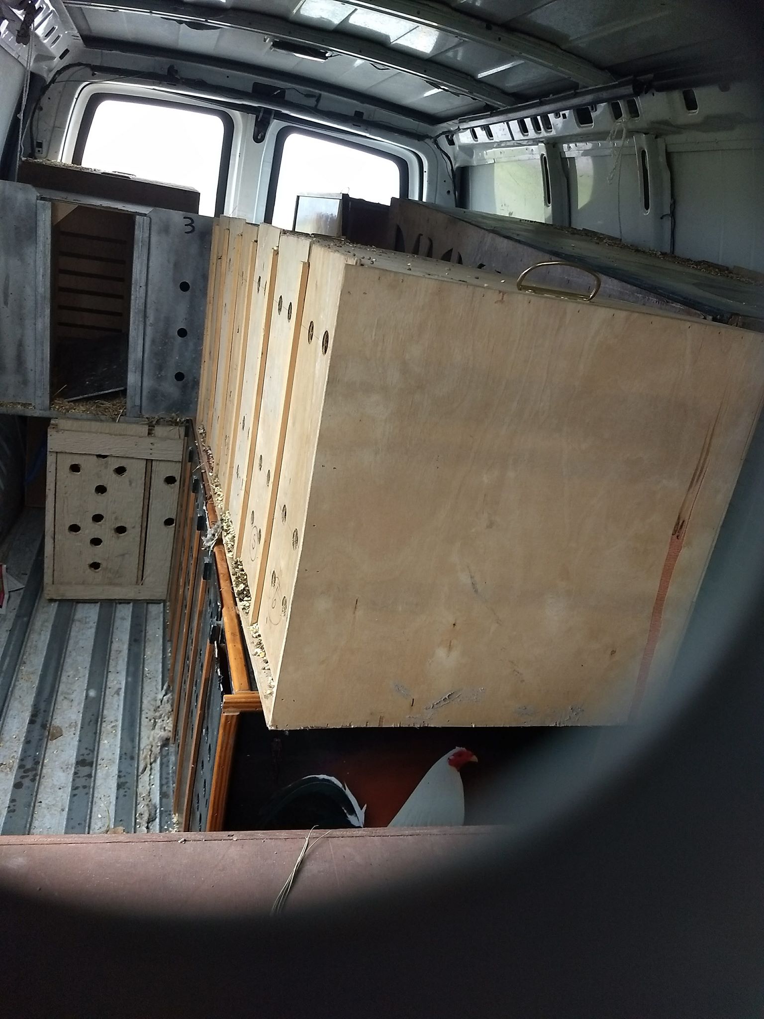 29749171_10160103298155534_795823941_o