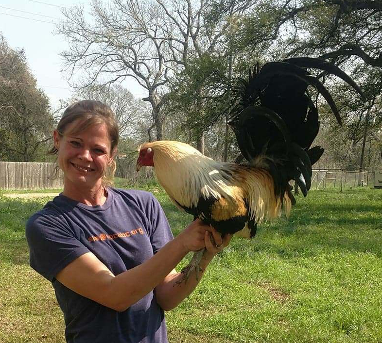 Vanessa shows off this beautiful bird.